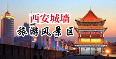 欧美对白48p中国陕西-西安城墙旅游风景区