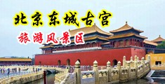 骚逼大鸡巴操逼视频中国北京-东城古宫旅游风景区